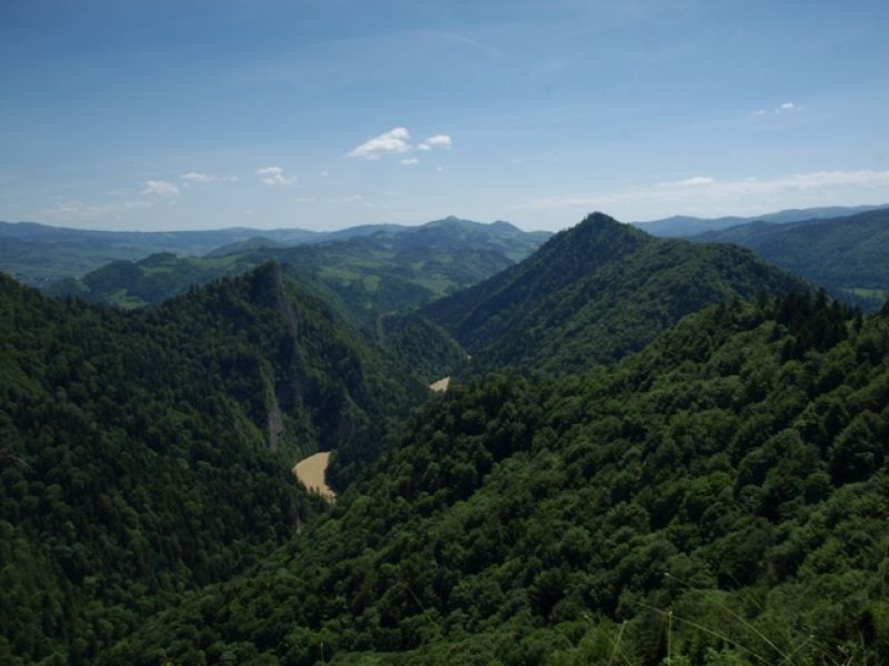 Sokolica , Holica z Zamkowej Góry - Pieniny